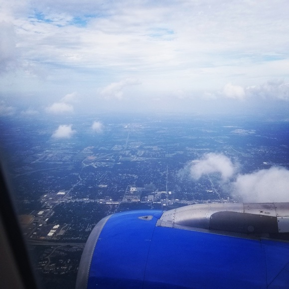 Meet your Posher, Wifty - Picture 2 of 2